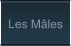 Les Mâles