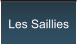 Les Saillies