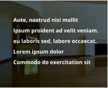 	Aute, nostrud nisi mollit   	Ipsum proident ad velit veniam.  	eu laboris sed, labore occaecat. 	Lorem ipsum dolor  	Commodo do exercitation sit